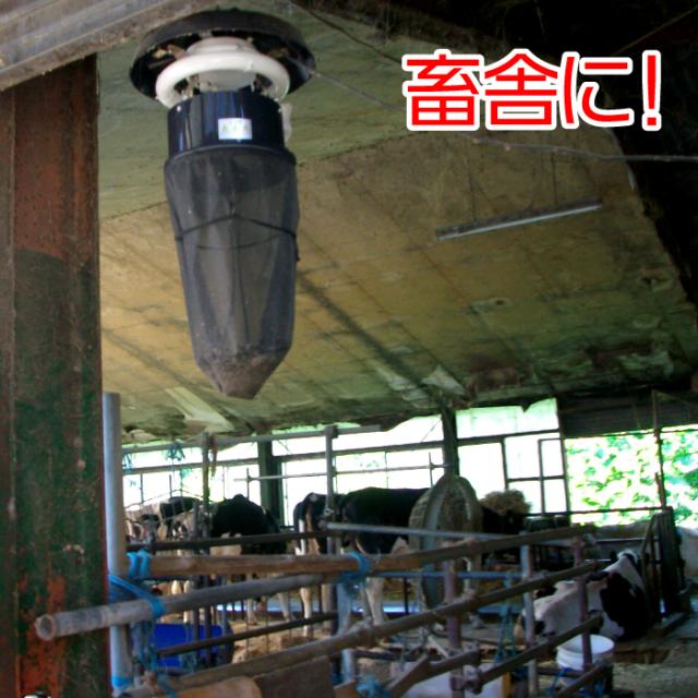 害虫 害虫駆除 石崎電機製作所製 シュアー捕虫器 MC8300 改良型 飛行虫 防虫ネット 畜舎 キノコ栽培 ビニール菜園 ゴルフ練習場 ハスモンヨトウ スリップス タバコガ キノコバエ コナガ ハモグリバエ カメムシ コゲナムシ_3