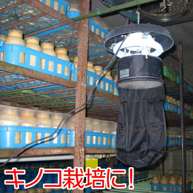 害虫 害虫駆除 石崎電機製作所製 シュアー捕虫器 MC8300 改良型 飛行虫 防虫ネット 畜舎 キノコ栽培 ビニール菜園 ゴルフ練習場 ハスモンヨトウ スリップス タバコガ キノコバエ コナガ ハモグリバエ カメムシ コゲナムシ_4