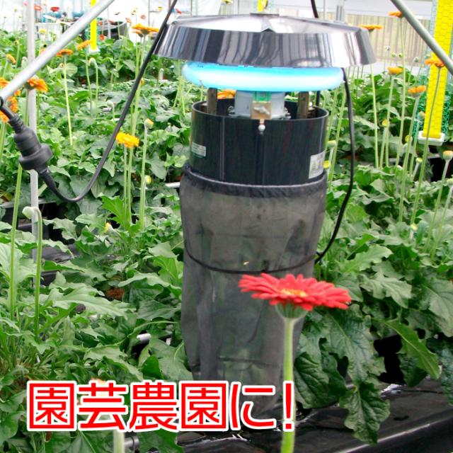害虫 害虫駆除 石崎電機製作所製 シュアー捕虫器 MC8300 改良型 飛行虫 防虫ネット 畜舎 キノコ栽培 ビニール菜園 ゴルフ練習場 ハスモンヨトウ スリップス タバコガ キノコバエ コナガ ハモグリバエ カメムシ コゲナムシ_5