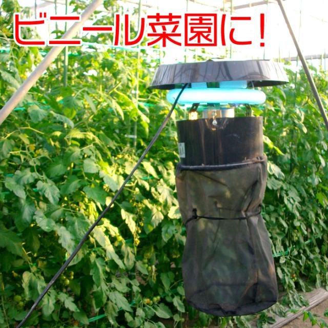 害虫 害虫駆除 石崎電機製作所製 シュアー捕虫器 MC8300 改良型 飛行虫 防虫ネット 畜舎 キノコ栽培 ビニール菜園 ゴルフ練習場 ハスモンヨトウ スリップス タバコガ キノコバエ コナガ ハモグリバエ カメムシ コゲナムシ_6