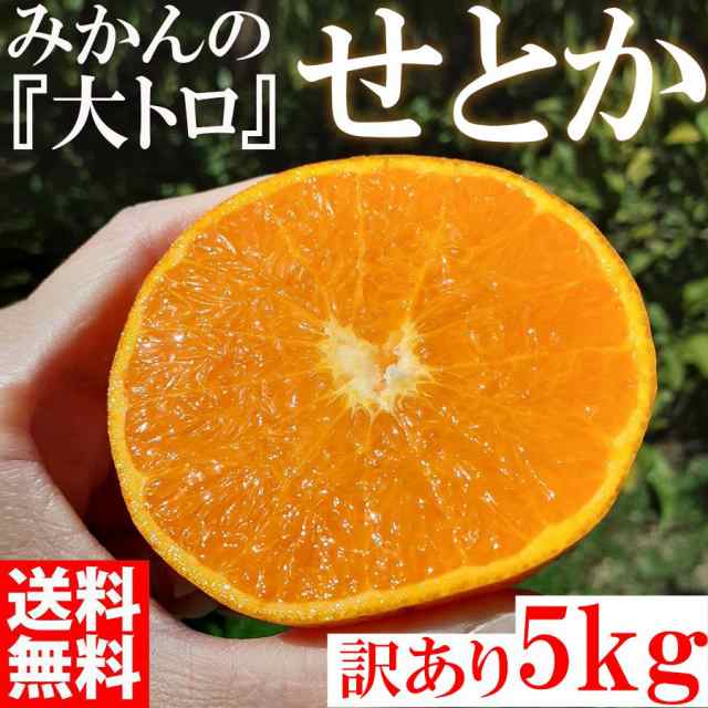 せとか みかんの大トロ 5kg 訳あり 和歌山県産 産直 オレンジ フルーツ