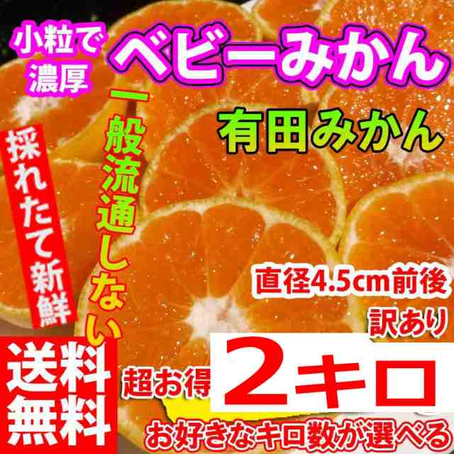 当八百屋の人気みかん!!向山温州みかん4キロ 今季最終！完熟です