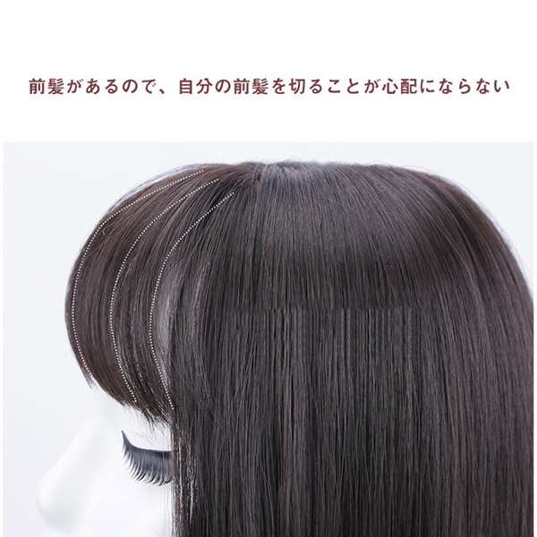 ウィッグ レディース ショート 自然 ヘアピース 薄毛 白髪隠し かつら