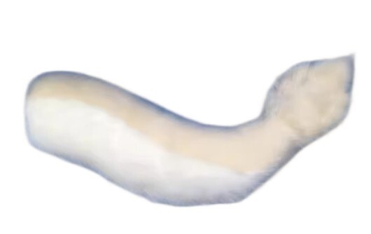 ファースーツ アクセサリー 尻尾 クリーム Dタイプ 飾りもの ケモノ しっぽ fursuit ぬいぐるみ コスプレ コスチューム