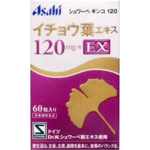 シュワーベギンコ120(60粒)  アサヒグループ食品 シュワーベギンコ サプリメント いちょう葉 イチョウ葉 記憶力の通販は