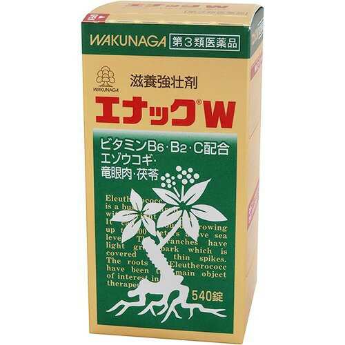 【第3類医薬品】エナックW 540錠 滋養強壮 虚弱体質 肉体疲労 病中病後 胃腸障害 栄養障害 発熱性消耗性疾患 妊娠授乳期 栄養補給