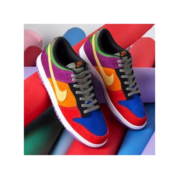ダンク ロー バイオテック NIKE DUNK LOW VIOTECH ナイキ 正規品 送料込