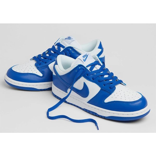 ダンク ロー プラム NIKE DUNK LOW PLUM 正規品 送料込 20200131055033-0.webp