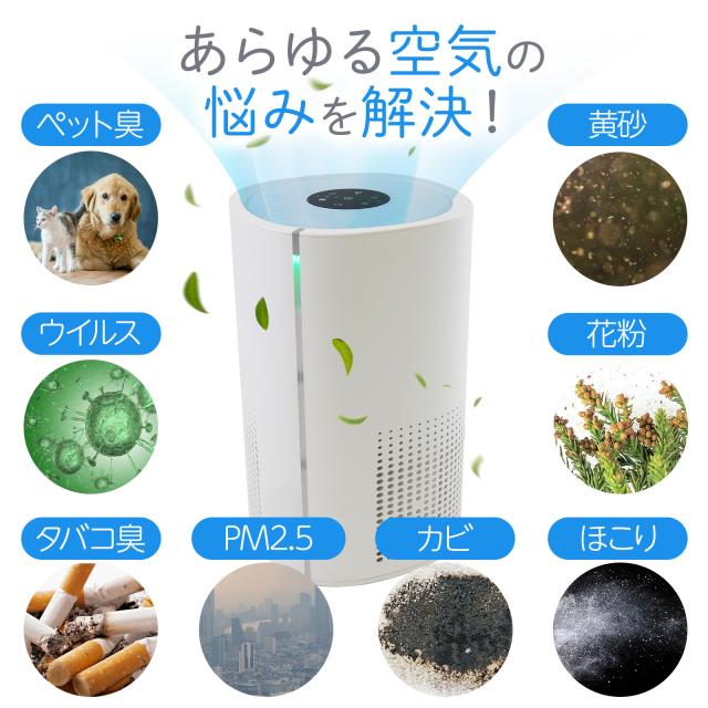 空気清浄機 小型 花粉症 除菌 消臭 省エネ 花粉対策 脱臭機 たばこ