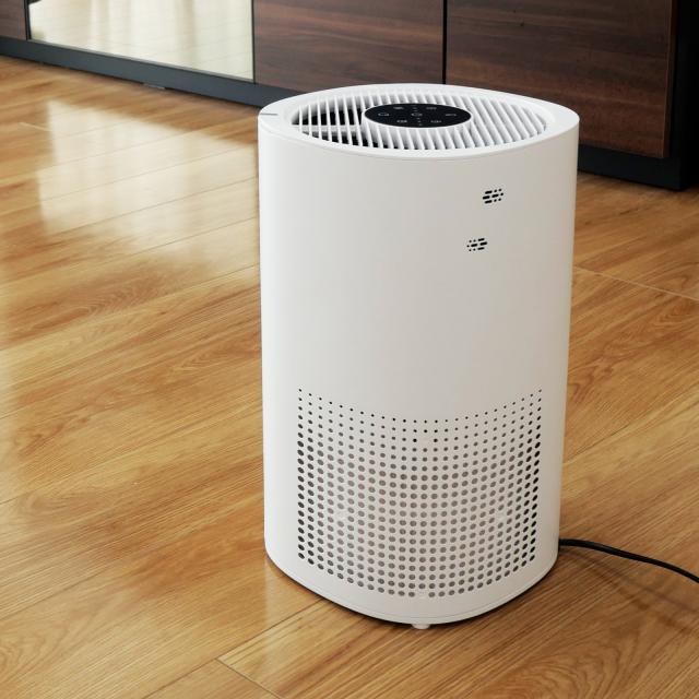 空気清浄機 小型 花粉症 除菌 消臭 省エネ 花粉対策 脱臭機 たばこ
