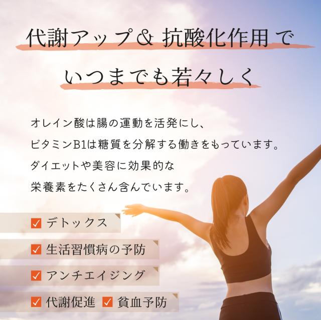 カシューナッツ 無添加 シュガー ナッツ スリランカ 美容 健康