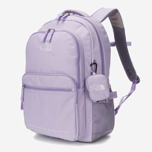 海外限定 ノースフェイス THE NORTH FACE リュック リュックサック 26l 