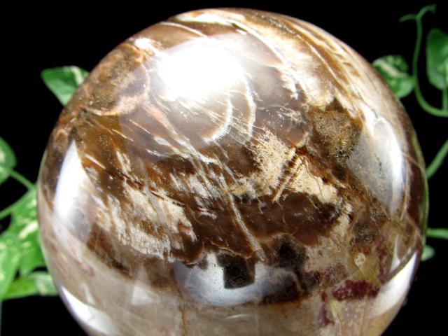 迫力の大玉 珪化木 ペトリファイドウッド 丸玉 台座付 重さ1919g 直径113mm 木の化石 自然を愛する全ての方に マダガスカル産 パワーストーン 天然石_5