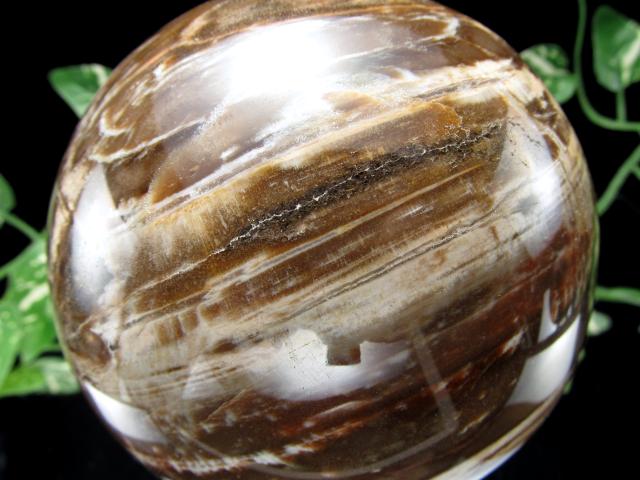 迫力の大玉 珪化木 ペトリファイドウッド 丸玉 台座付 重さ1919g 直径113mm 木の化石 自然を愛する全ての方に マダガスカル産 パワーストーン 天然石_6