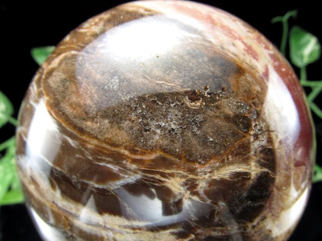 迫力の大玉 珪化木 ペトリファイドウッド 丸玉 台座付 重さ1919g 直径113mm 木の化石 自然を愛する全ての方に マダガスカル産 パワーストーン 天然石_7