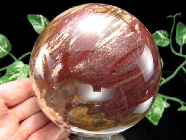 迫力の大玉 珪化木 ペトリファイドウッド 丸玉 台座付 重さ1919g 直径113mm 木の化石 自然を愛する全ての方に マダガスカル産 パワーストーン 天然石_8