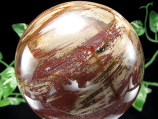 迫力の大玉 珪化木 ペトリファイドウッド 丸玉 台座付 重さ1919g 直径113mm 木の化石 自然を愛する全ての方に マダガスカル産 パワーストーン 天然石_3