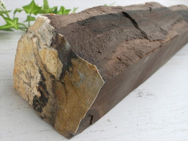 リアル木の化石 珪化木 原石 重さ2908g シリカ化した木の化石 神秘なる大自然の力 ウッドストーン 博愛・真心・希望 木の化石 岐阜県美濃加茂市蜂屋町上蜂屋産_6