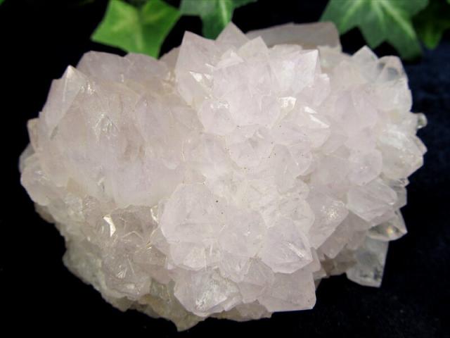 ヒーラーに大人気 4A カクタス アメジスト クラスター原石 最大幅 76mm 重さ 234.5g 精霊の宿る水晶 紫水晶 サボテンアメジスト 2月 誕生石 1点もの 南アフリカ共和国ムプマランガ州 パワーストーン 天然石