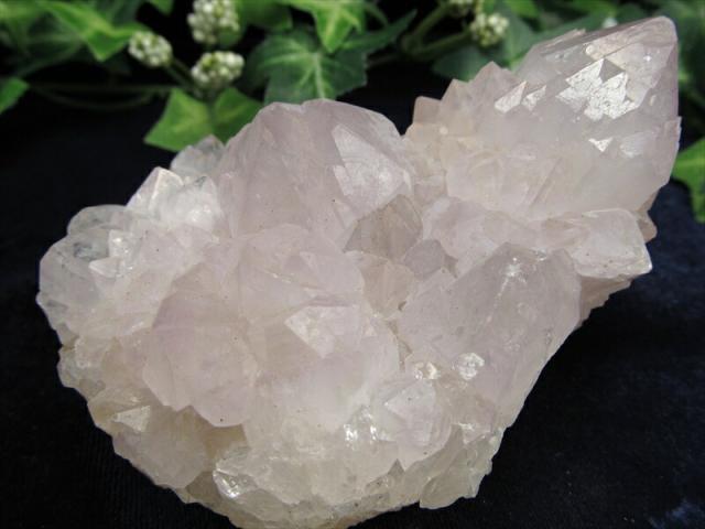 ヒーラーに大人気 4A カクタス アメジスト クラスター原石 最大幅 93mm 重さ 256g 精霊の宿る水晶 紫水晶 サボテンアメジスト 2月 誕生石 1点もの 南アフリカ共和国ムプマランガ州 パワーストーン 天然石