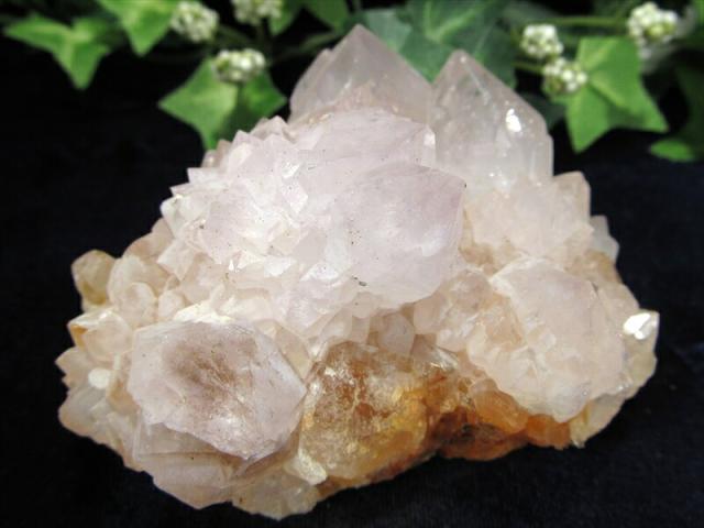 ヒーラーに大人気 4A カクタス アメジスト クラスター原石 最大幅 78mm 重さ 204g 精霊の宿る水晶 紫水晶 サボテンアメジスト 2月 誕生石 1点もの 南アフリカ共和国ムプマランガ州 パワーストーン 天然石