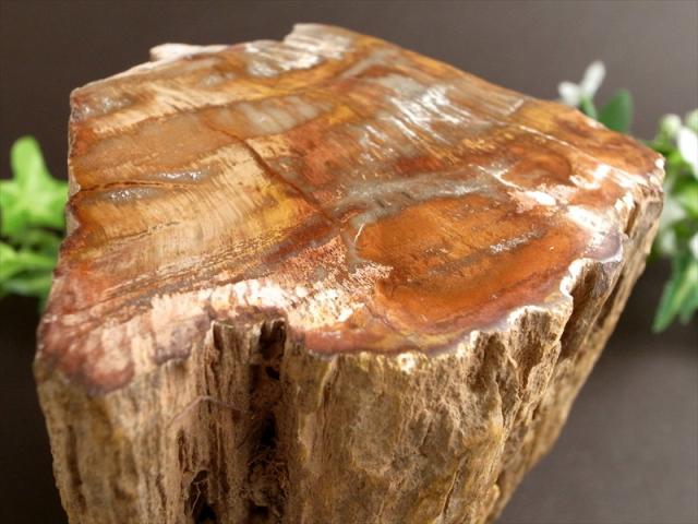 一面磨き 珪化木 ペトリファイドウッド 原石 最大幅 108mm 重さ 1410g 神秘なる大自然の力 ウッドストーン 博愛・真心・希望 木の化石 マダガスカル産 パワーストーン 天然石