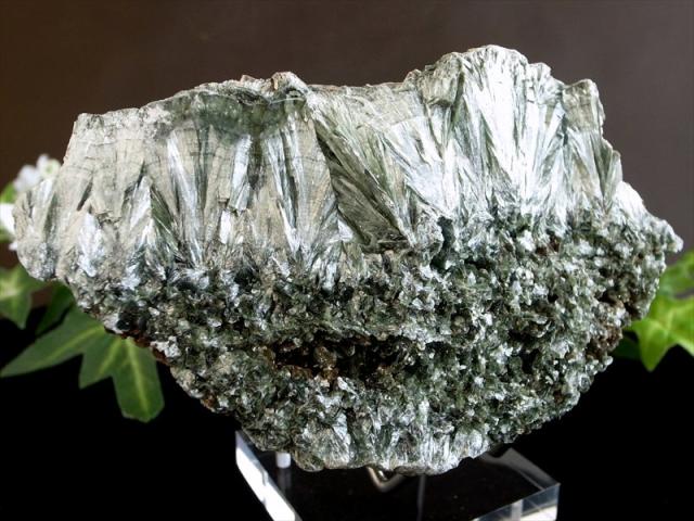 超レア 流通量極少結晶 天使の羽根のような美しさ セラフィナイト クリノクロア・天使の羽 原石 台座付 最大幅 117mm 重さ 393g キラキラ輝く集合体原石 斜緑泥石 人生に平穏を与える石 神秘的で高貴な美しさ ロシア産 パワーストーン 天然石