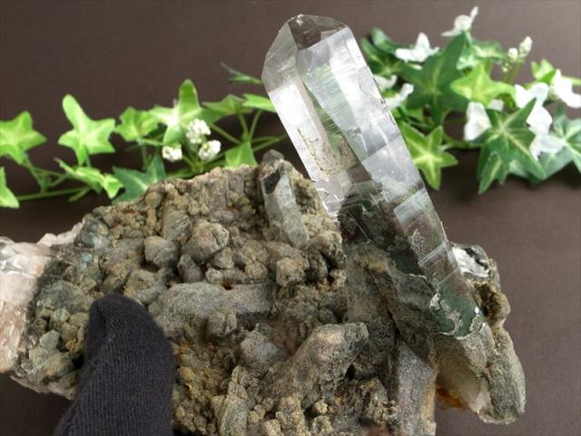 極限環境が生んだ水晶 ガルサ産 水晶クラスター 最大幅 約186mm 重さ