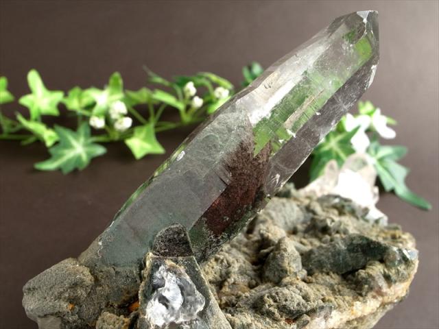 極限環境が生んだ水晶 ガルサ産 水晶クラスター 最大幅 約186mm 重さ