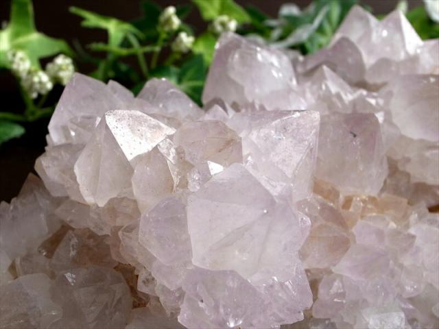 ヒーラーに大人気 4A カクタス アメジスト クラスター原石 最大幅 141mm 重さ 858g 精霊の宿る水晶 紫水晶 サボテンアメジスト 2月 誕生石 1点もの 南アフリカ共和国ムプマランガ州 パワーストーン 天然石_1