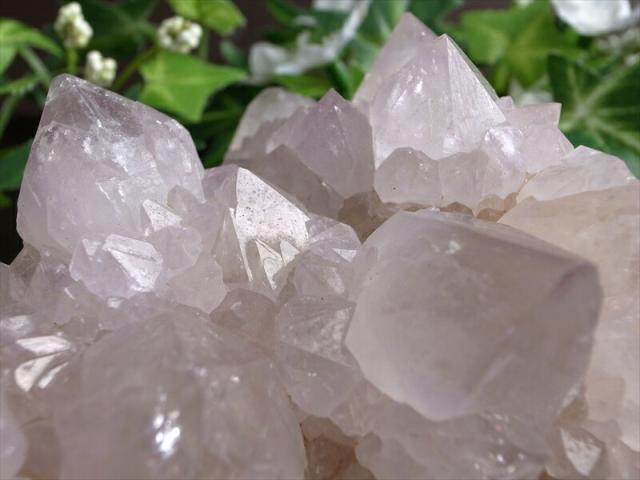 ヒーラーに大人気 4A カクタス アメジスト クラスター原石 最大幅 141mm 重さ 858g 精霊の宿る水晶 紫水晶 サボテンアメジスト 2月 誕生石 1点もの 南アフリカ共和国ムプマランガ州 パワーストーン 天然石_2