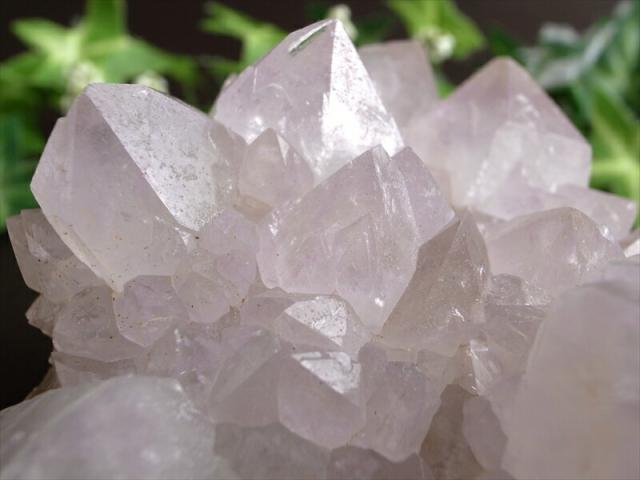 ヒーラーに大人気 4A カクタス アメジスト クラスター原石 最大幅 141mm 重さ 858g 精霊の宿る水晶 紫水晶 サボテンアメジスト 2月 誕生石 1点もの 南アフリカ共和国ムプマランガ州 パワーストーン 天然石_4