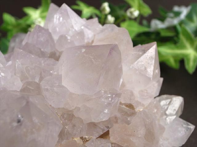 ヒーラーに大人気 4A カクタス アメジスト クラスター原石 最大幅 141mm 重さ 858g 精霊の宿る水晶 紫水晶 サボテンアメジスト 2月 誕生石 1点もの 南アフリカ共和国ムプマランガ州 パワーストーン 天然石_7