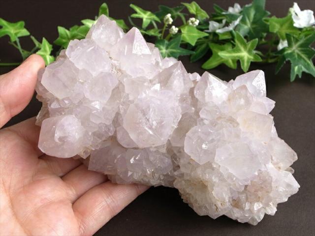 ヒーラーに大人気 4A カクタス アメジスト クラスター原石 最大幅 141mm 重さ 858g 精霊の宿る水晶 紫水晶 サボテンアメジスト 2月 誕生石 1点もの 南アフリカ共和国ムプマランガ州 パワーストーン 天然石_8
