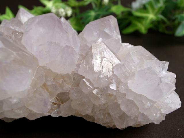 ヒーラーに大人気 4A カクタス アメジスト クラスター原石 最大幅 114mm 重さ 458g 精霊の宿る水晶 紫水晶 サボテンアメジスト 2月 誕生石 1点もの 南アフリカ共和国ムプマランガ州 パワーストーン 天然石_6