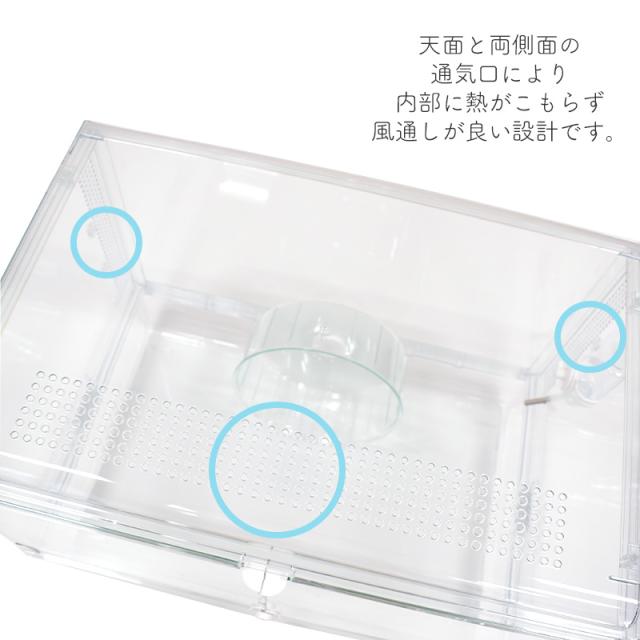 GEX Harmony 小毛の荒物用繁殖臥せ篭 水呑み音楽的調和 600N 水器・回し車付き添い人 小毛の荒物 ハムスター ハリネズミ オシャレ 可愛らしい 600Plus ジェックス