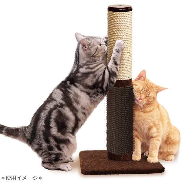 素晴らしい外見 猫用 爪とぎ キャティーマン モダンルーム ナチュラルにゃベッド