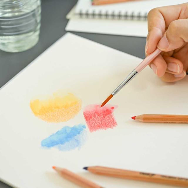 ホルベイン 水彩色鉛筆 50色セット (21195) 水彩画 なめらかな書き心地_3
