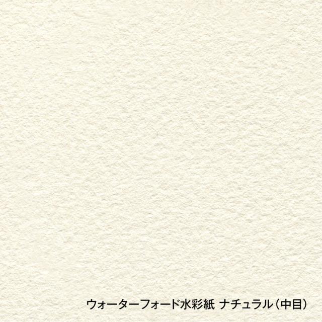 ホルベイン ウォーターフォード水彩紙 ナチュラル 300g 中判 全3種 (荒目/中目/細目) 560×760mm 10枚入り 平判 平版