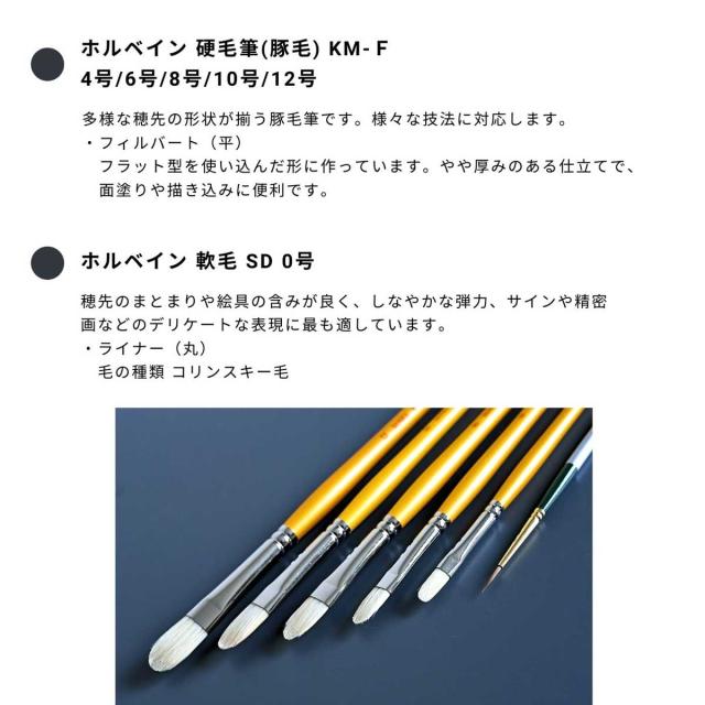 (掘り出し市) 限定アートセットシリーズ 油絵画セット (horidashi01) 初心者から熟練者まで 一式セット 数量限定_3