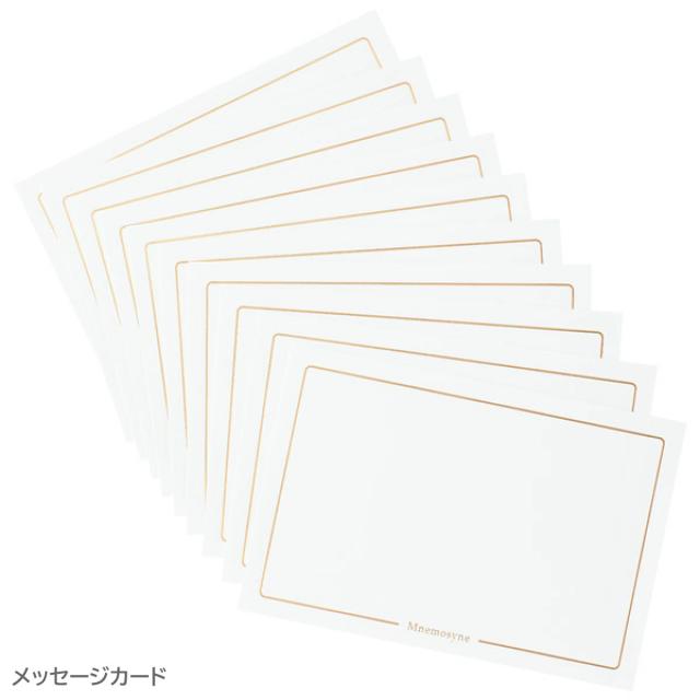 マルマン Mnemosyne(ニーモシネ)×プラチナ万年筆 PLASIR(プレジール) ジャーナルノートと特別仕様万年筆セット(MNXPM)_10