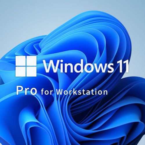 Microsoft DSP Win11 Pro Wrkstns 64bit 1p DVD(ZV-00112/S) 目安在庫=○