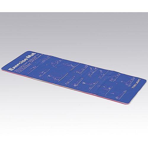 アズワン エクササイズマット (1枚)(8-7841-01) 目安在庫=△