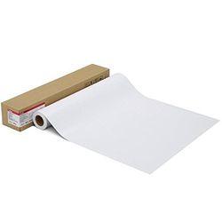 キヤノン LFM-GPPT/24/300 写真用紙・光沢 プロ[プラチナグレード](1107C003) 取り寄せ商品