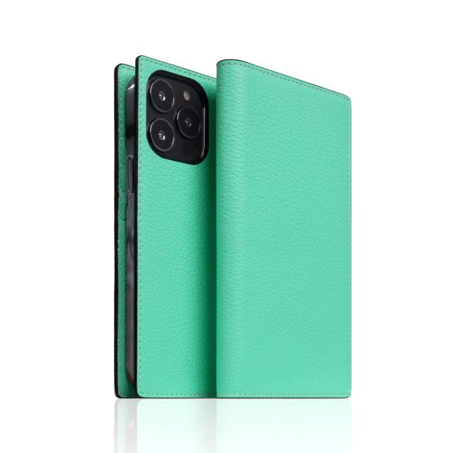 SLG Design Neon Full Grain Leather Diary Case for iPhone 14 Pro Teal 手帳型(SD24325i14PTL) 取り寄せ商品