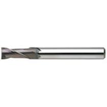 日進工具 無限コーティング 刃径表示2枚刃EM MSE230M Φ0.3×0.6 1本(MSE230M 0.3X0.6) 目安在庫=○