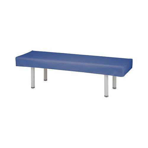 ナビス（アズワン） 診察台レザーカバー 600×1900mm ライトブルー (1枚)(PB-6019) 取り寄せ商品