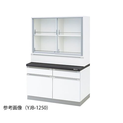 アズワン 薬品器具戸棚 1200×400/750×800/1800mm (1台)(3-3891-11) 取り寄せ商品 227,921円