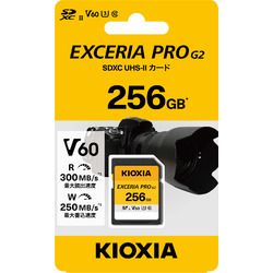 ＫＩＯＸＩＡ キオクシア KSDHU-B256G(1598669) 取り寄せ商品