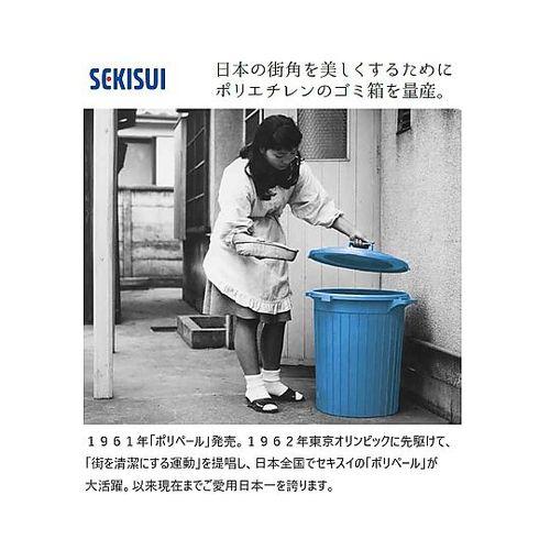 セキスイ エコポリペール角型 (1個)(4580167560686) 目安在庫=△